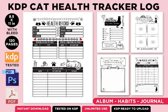 A Closer Look at the KDP Cat Health Tracker Log Journal 2024 for Publishers and Pet Owners